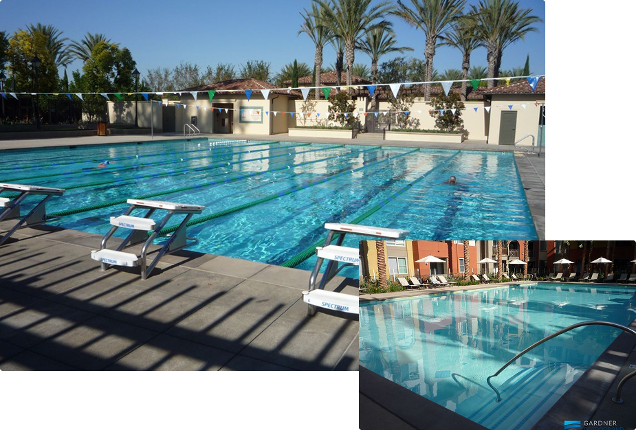Commercial pool remodeling project with lap lanes, starting blocks, and surrounding palm landscaping