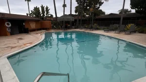 Commercial swimming pool surrounded by palm trees after a pool remodeling project