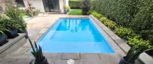 Rectangular residential pool with plaster finish, stone coping, and privacy hedge in a modern backyard.